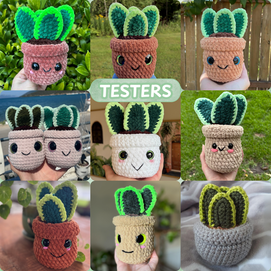 Snake Plant Crochet Pattern